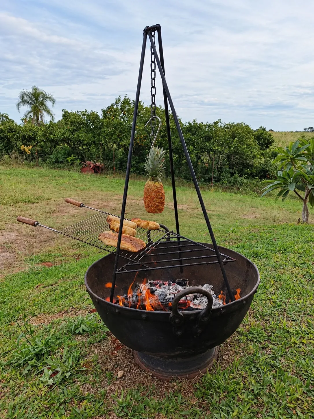 Fire pit suspenso no gramado, com o pomar ao fundo
