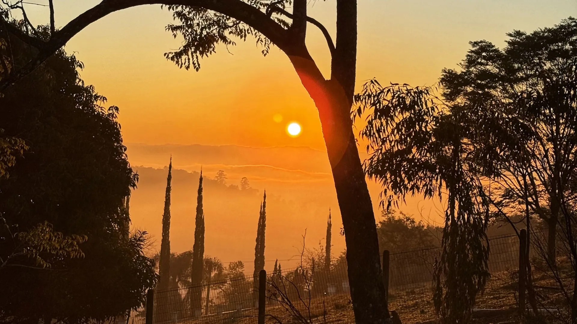 O sol nascendo sobre a neblina do vale, entre as árvores do chalé